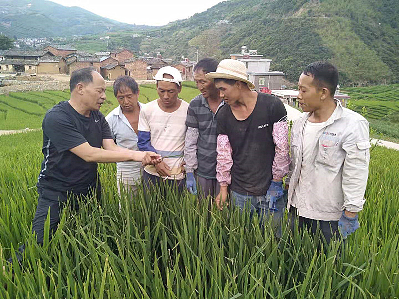 现场教授病虫害防治_副本.jpg