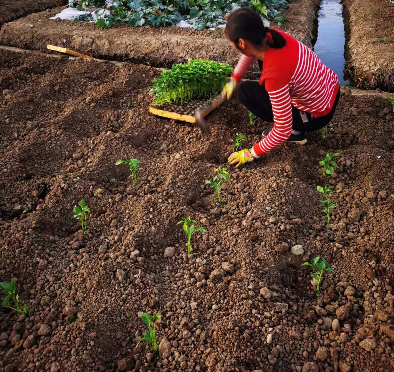 1711456608769057844.jpg