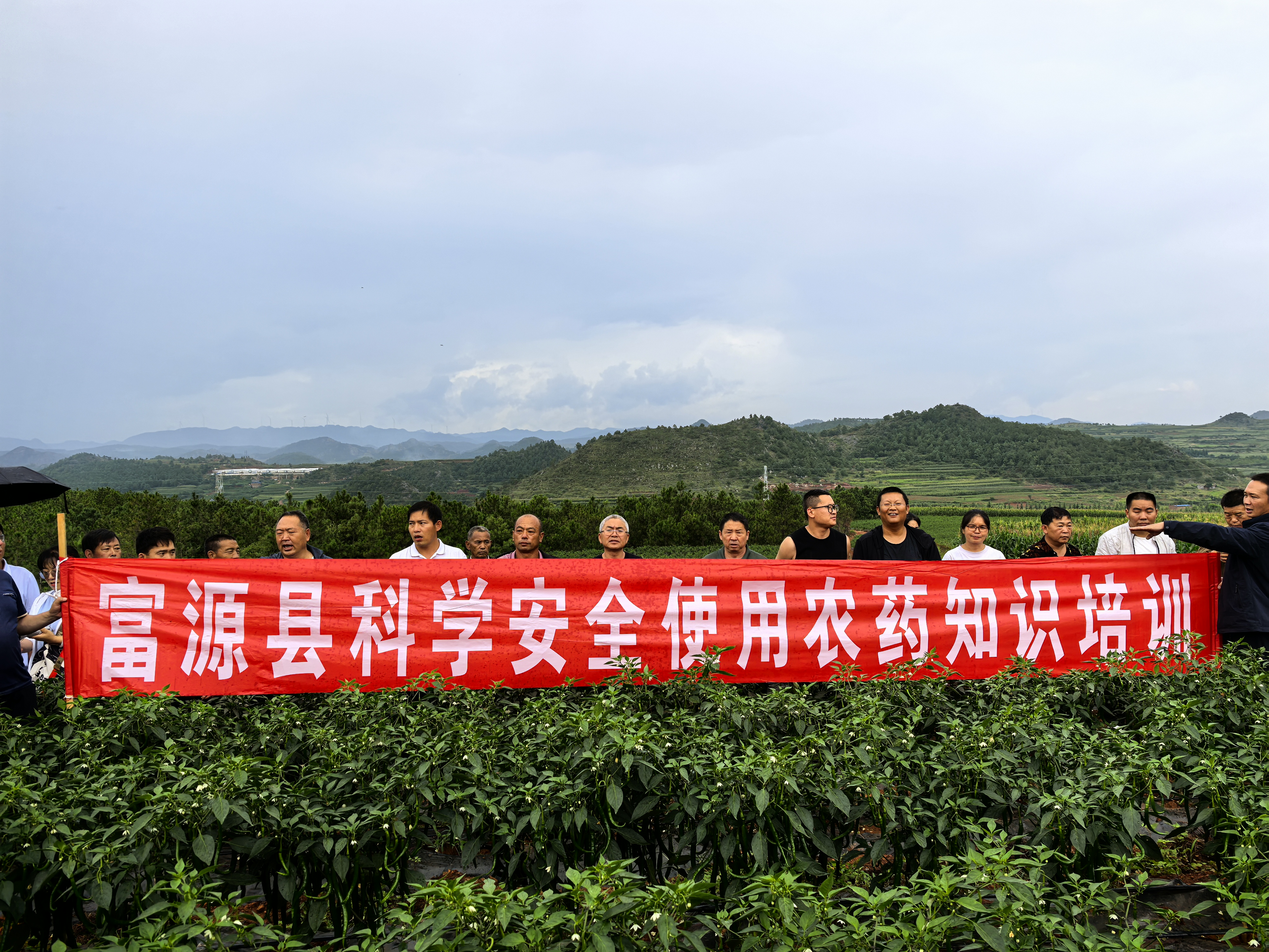 富源县植保站到后所镇白龙洞村举办科学安全使用农药现场培训会。（2024年8月6日摄）.jpg