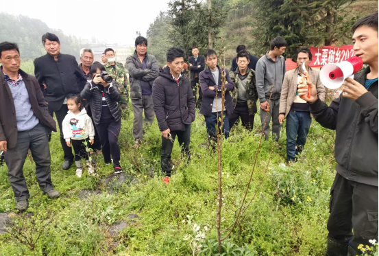 图一：技术人员讲解李子种植管理技术（2024年3月11日摄）.png