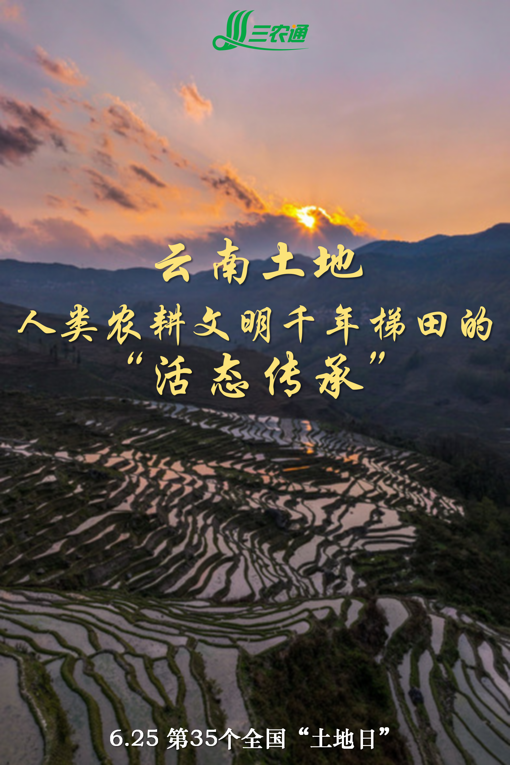 1750843391682088439.png