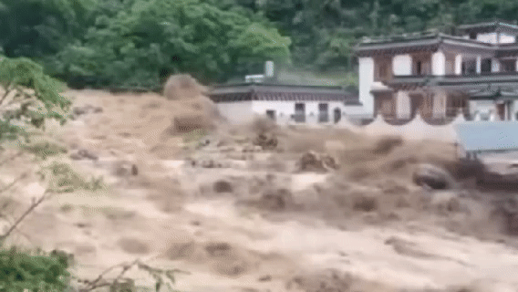 3.gif