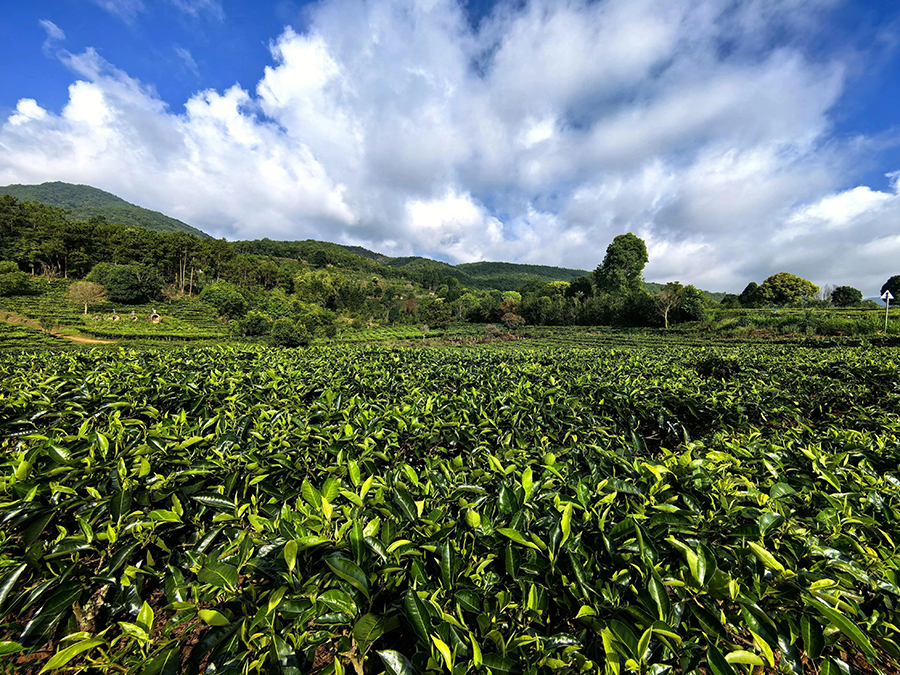 1763601947859048238.png 1763601947859048238.png