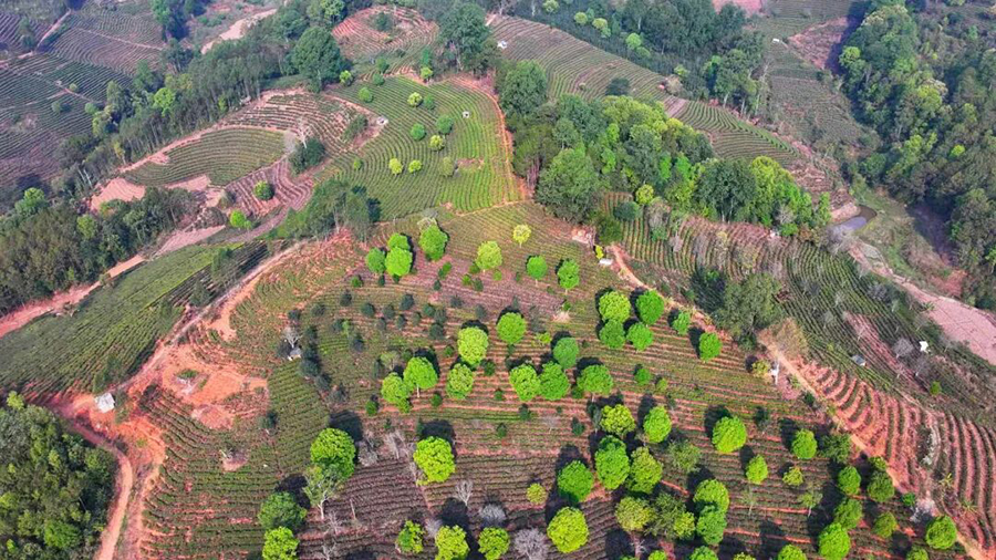 1763602031880016289.png 1763602031880016289.png