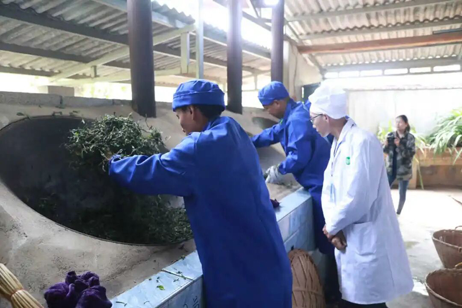 1763602210674077246.png 1763602210674077246.png