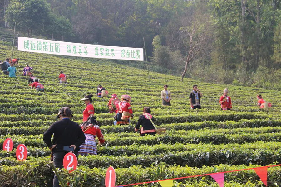 1763602270629080555.png 1763602270629080555.png