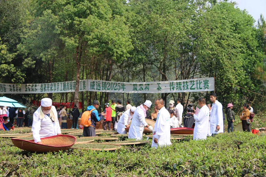 1763602305528056466.png 1763602305528056466.png