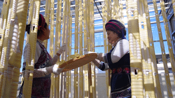 1764059494415033019.png 1764059494415033019.png