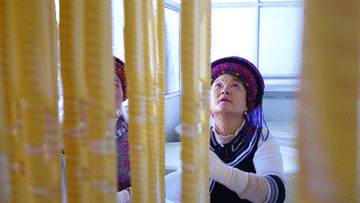 1764059563124044318.png 1764059563124044318.png