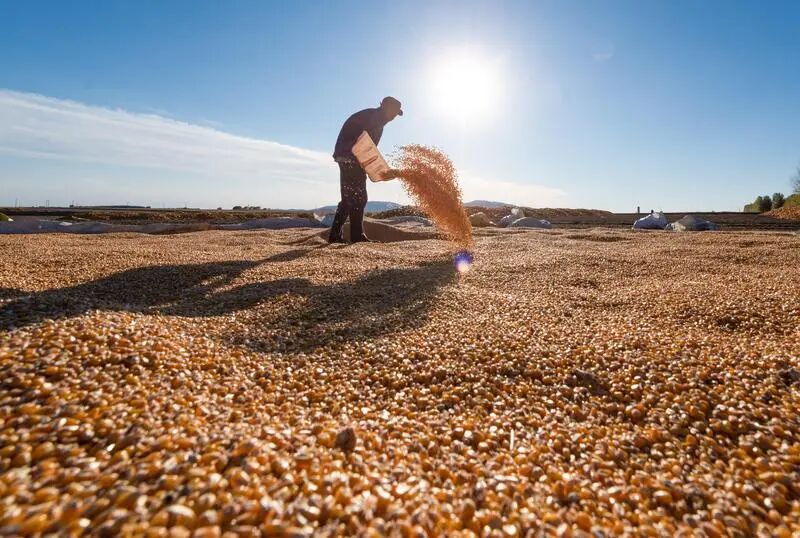 1765524198092018004.jpg 1765524198092018004.jpg