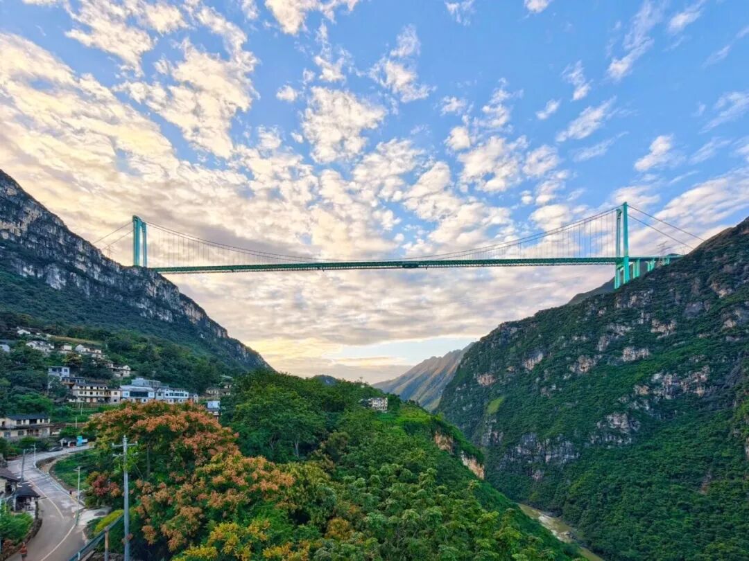 1765524493518031909.jpg 1765524493518031909.jpg