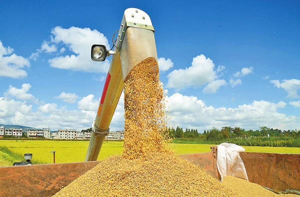 1766456621157084527.png 1.png