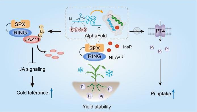 1772097221260008970.jpg 1772097213886.jpg