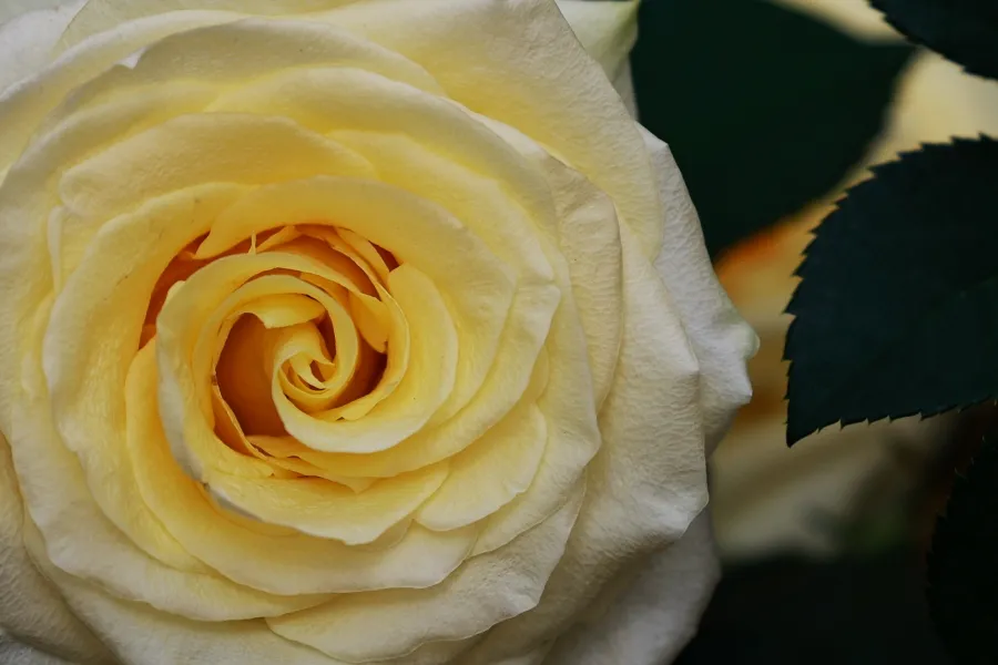 1773909320780059295.jpg 1773909320780059295.jpg