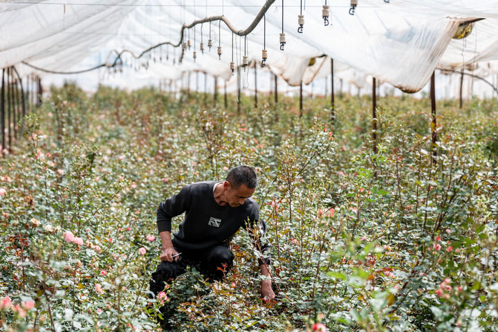 1774427991228069244.jpg 1774427992163.jpg