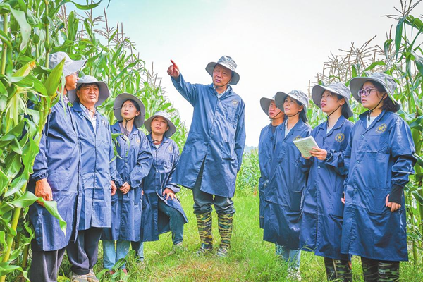 1774592760388011946.jpg 1774592754362.jpg