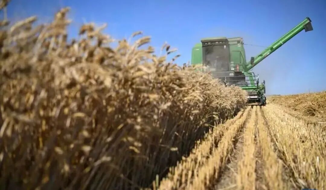 1774859165334042037.jpg 1774859165334042037.jpg