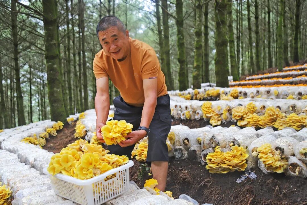 图片 图片