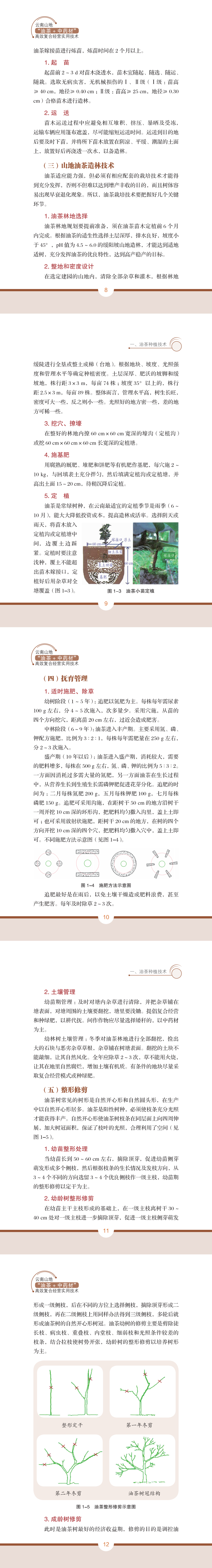 a4.png