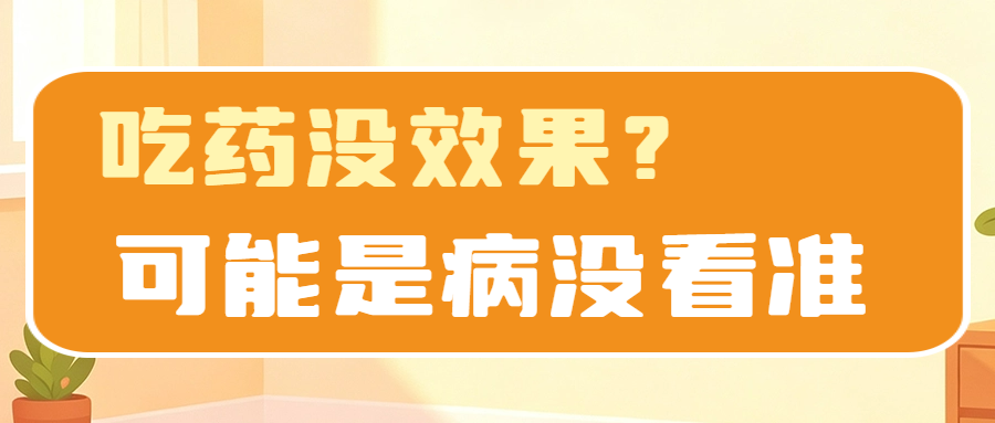 1791855047474029537.png 0d64e5b9fded4f6b8846cad99d6eacea.png